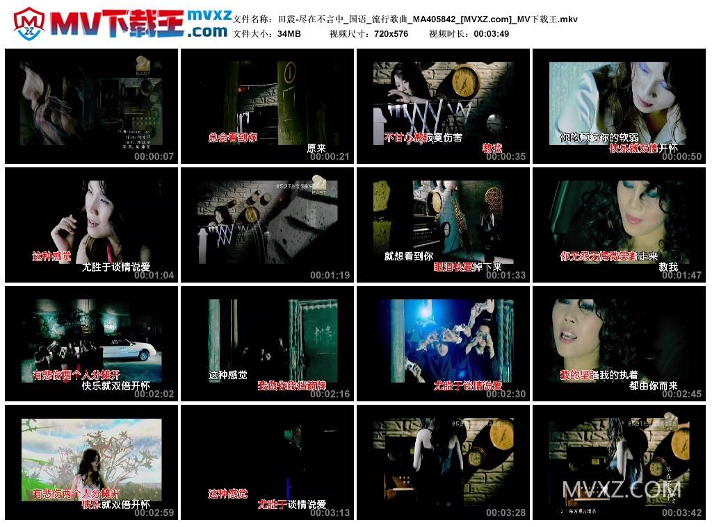 田震-尽在不言中_国语_流行歌曲_MA405842